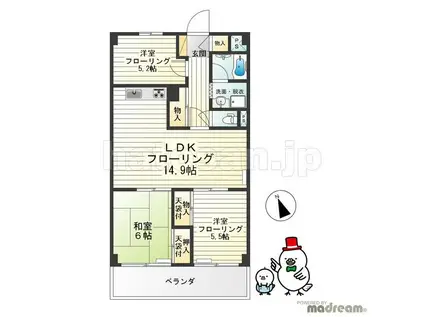 池田山コープ(3LDK/8階)の間取り写真