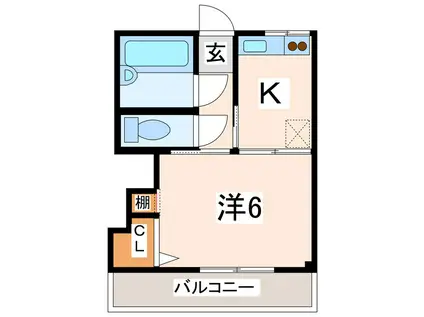 第11三共ハイツ(1K/5階)の間取り写真
