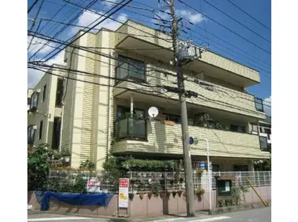 メゾングレース川口(2DK/3階)の外観写真