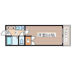 BRIO TERACCE 泉中央(1K/2階)の間取り写真