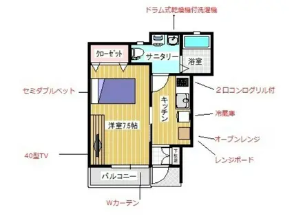 ブラーチャ(1K/1階)の間取り写真