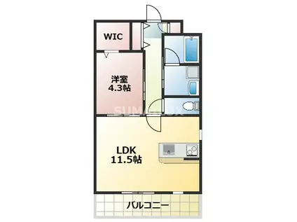 SOLA(1LDK/1階)の間取り写真