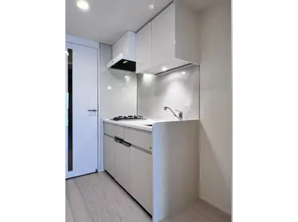 BRILLIA IST大井町(1DK/10階)の外観写真