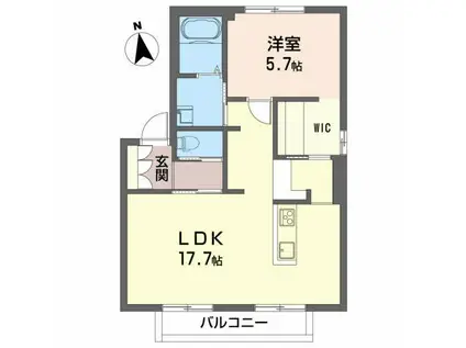 クランベルC(1LDK/1階)の間取り写真