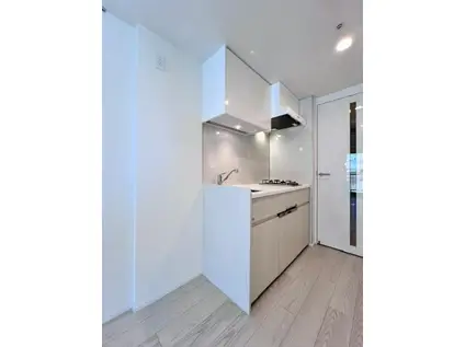 BRILLIA IST大井町(1DK/11階)の外観写真