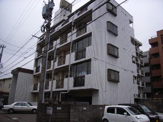 ビューハイツ田川(2DK/3階)
