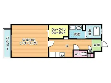 REGINA(1K/1階)の間取り写真