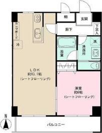 TSROOM(1LDK/7階)の間取り写真