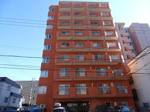 エンドレス三井南5条I(1DK/9階)