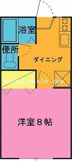 イイジマハイツ2(1K/1階)の間取り写真