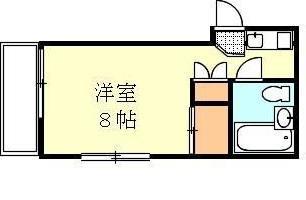 ドルフ3(ワンルーム/5階)の間取り写真