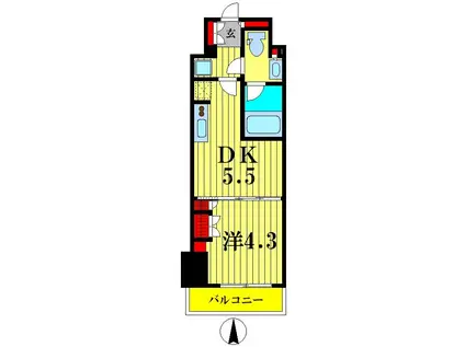 ブラウ菊川プレイス(1DK/10階)の間取り写真