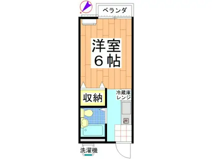 セゾン西千葉(1K/1階)の間取り写真