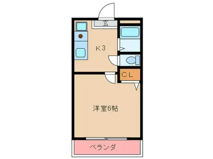 ニューサンコーポ(1K/1階)の間取り写真