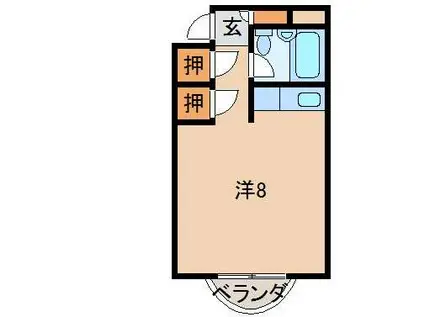 プルミエールメゾン日前宮(ワンルーム/5階)の間取り写真