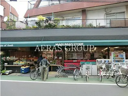 小作ビル(2DK/3階)の周辺写真