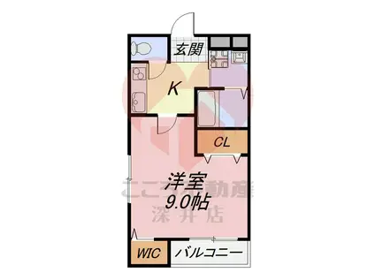 グランメゾンゆずり葉II番館(1K/1階)の間取り写真