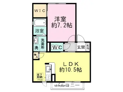 プランドールII(1LDK/1階)の間取り写真