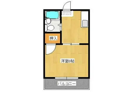 コート新北V(1K/5階)の間取り写真