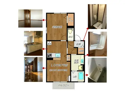 コンフォールB棟(1LDK/2階)の間取り写真