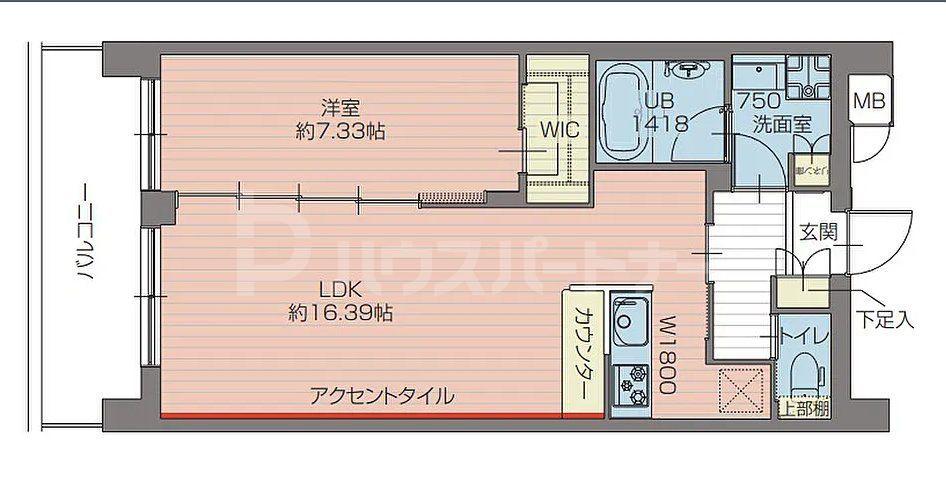 プレジオ北綾瀬ASIAN(1LDK/6階)の間取り写真