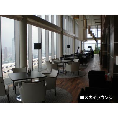 赤坂タワーレジデンスTOP OF THE HILL(1LDK/19階)の間取り写真