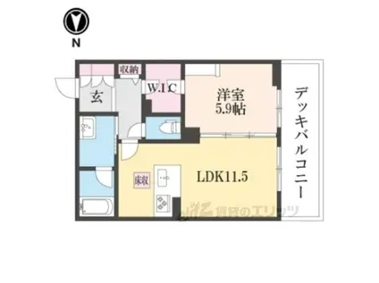 シャーメゾンネクサス(1LDK/2階)の間取り写真