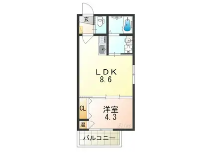 ASECIA GRAFF(1LDK/3階)の間取り写真