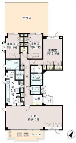 徳川山パーク・マンション(3LDK/1階)の間取り写真