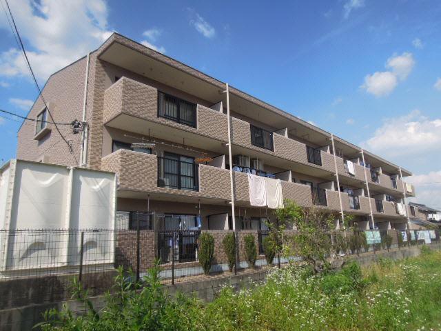 Tステージミカーレ(3DK/3階)
