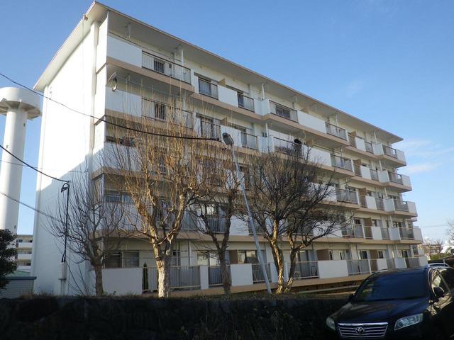 市川中山団地5号棟(2LDK/1階)
