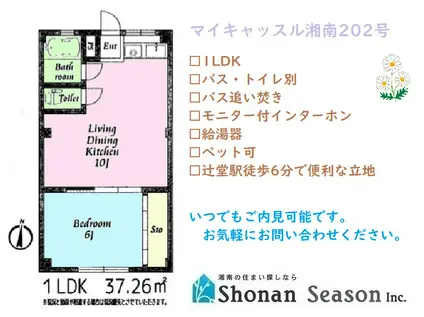 マイキャッスル湘南(1LDK/2階)の間取り写真