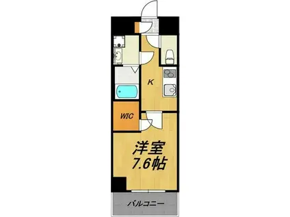 TIRAPALACE天神山(1K/7階)の間取り写真