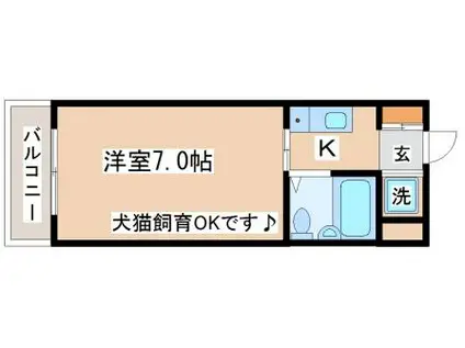 トレビアンコート(1K/2階)の間取り写真