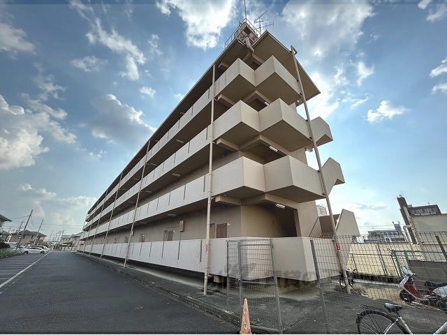 新栄マンション(3DK/1階)