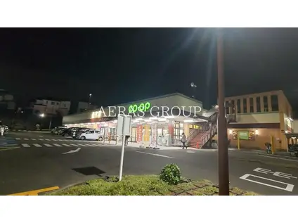 森ハイツ(2DK/1階)の周辺写真