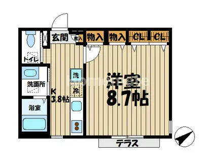 ミューズ(1K/1階)の間取り写真