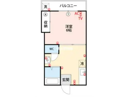 村田ハイツ(1K/1階)の間取り写真