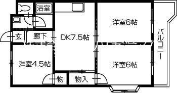 コーポサンライズ(3DK/4階)の間取り写真