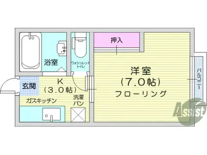 高橋ハイツC棟(1K/1階)の間取り写真