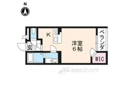 レオネクスト安井川(1K/2階)の間取り写真