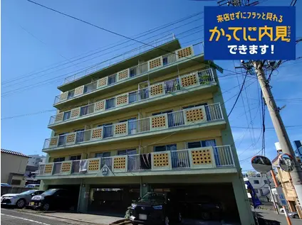 ペティオン富士見(1K/5階)の外観写真