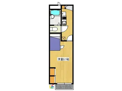 レオパレスYAEMIZO(1K/1階)の間取り写真