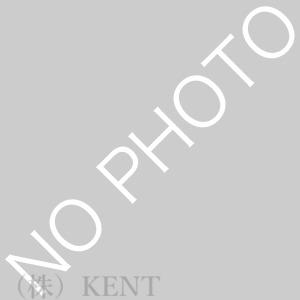 エスカイヤ八軒(1LDK/3階)の間取り写真