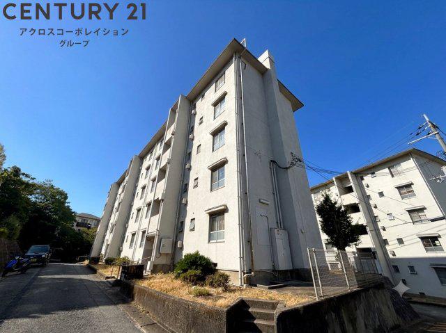 宝梅園7号棟(3K/1階)