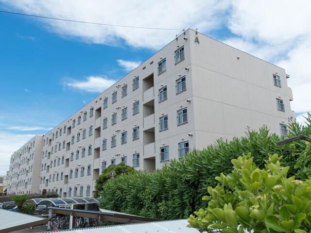 コーポ鵠沼A棟(3LDK/4階)