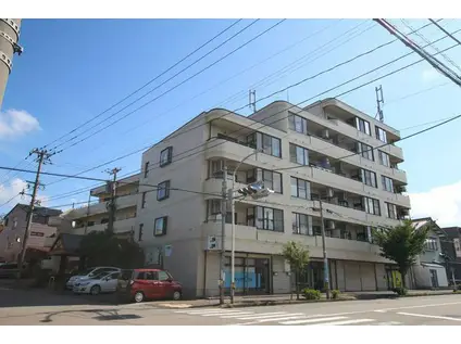 メゾン・アグリーアップル(3LDK/4階)の外観写真