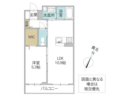 ヴィアソーレ(1LDK/1階)の間取り写真