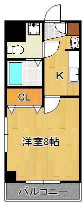 ラフィーネ(1K/3階)の間取り写真