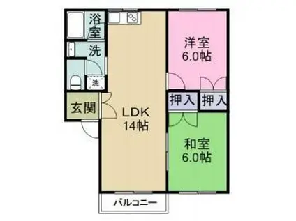 アルボーレ(2LDK/1階)の間取り写真